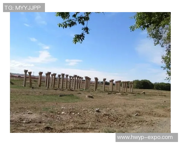 当年绿茵巨星逐渐老去岁月无情见证足球传奇黄昏