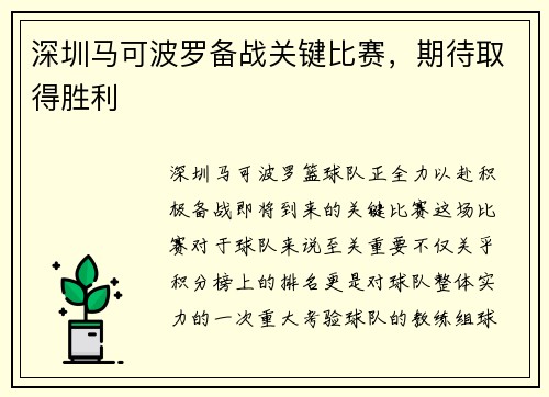 深圳马可波罗备战关键比赛，期待取得胜利